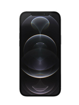 Apple iPhone 12 Pro Max 128 ГБ Graphite (графитовый)