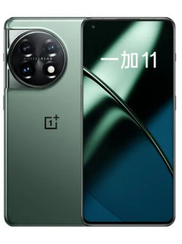 OnePlus 11 16/256 ГБ Eternal Green (зелeный) EU