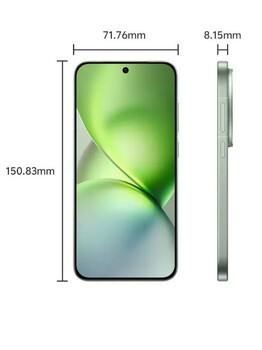 Vivo X200 Pro Mini 16/512 ГБ Green (V2419A)