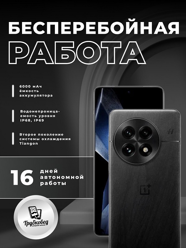 OnePlus 13 12/256 ГБ Black (PJZ110) CN