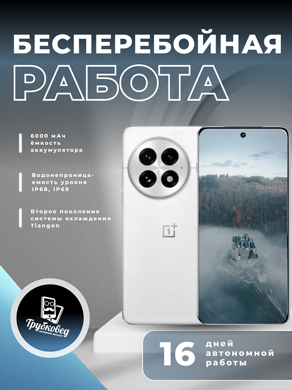 OnePlus 13 12/256 ГБ White (PJZ110) CN