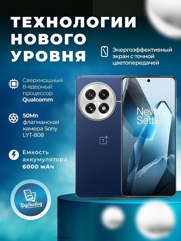 OnePlus 13 16/512 ГБ Blue (PJZ110) CN