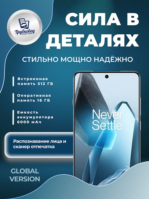 OnePlus 13 16/512 ГБ Blue Global Version