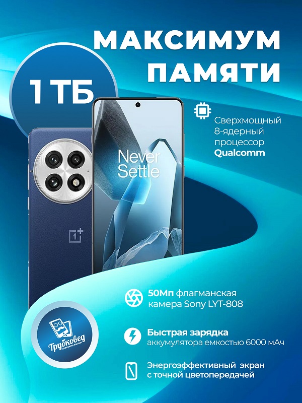 OnePlus 13 24/1 ТБ Blue (PJZ110) CN