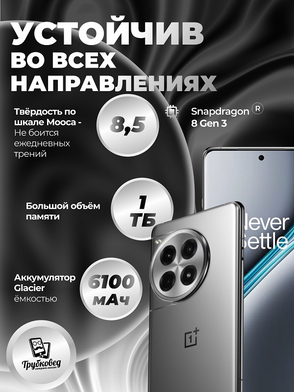 OnePlus Ace 3 Pro 24/1 ТБ Silver