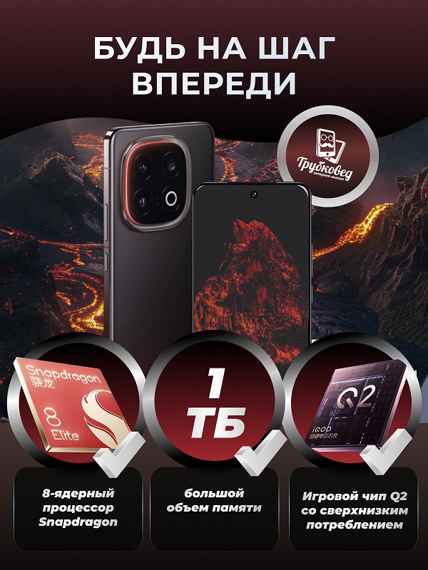 Vivo iQOO13 16/1 TБ Black (V2408A)