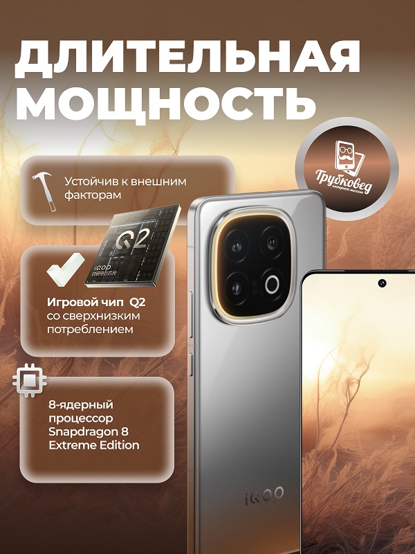 Vivo iQOO13 12/512 ГБ Grey