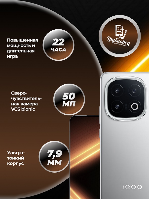 Vivo iQOO13 16/512 ГБ Grey