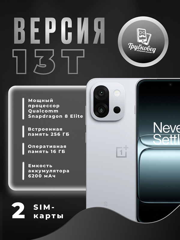 OnePlus 13T 16/256 ГБ Grey